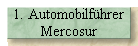 1. Automobilf�hrer 
 Mercosur