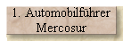 1. Automobilf�hrer 
 Mercosur