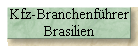 Kfz-Branchenf�hrer 
 Brasilien