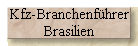 Kfz-Branchenf�hrer 
 Brasilien